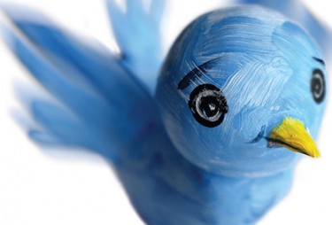 Twitter bird