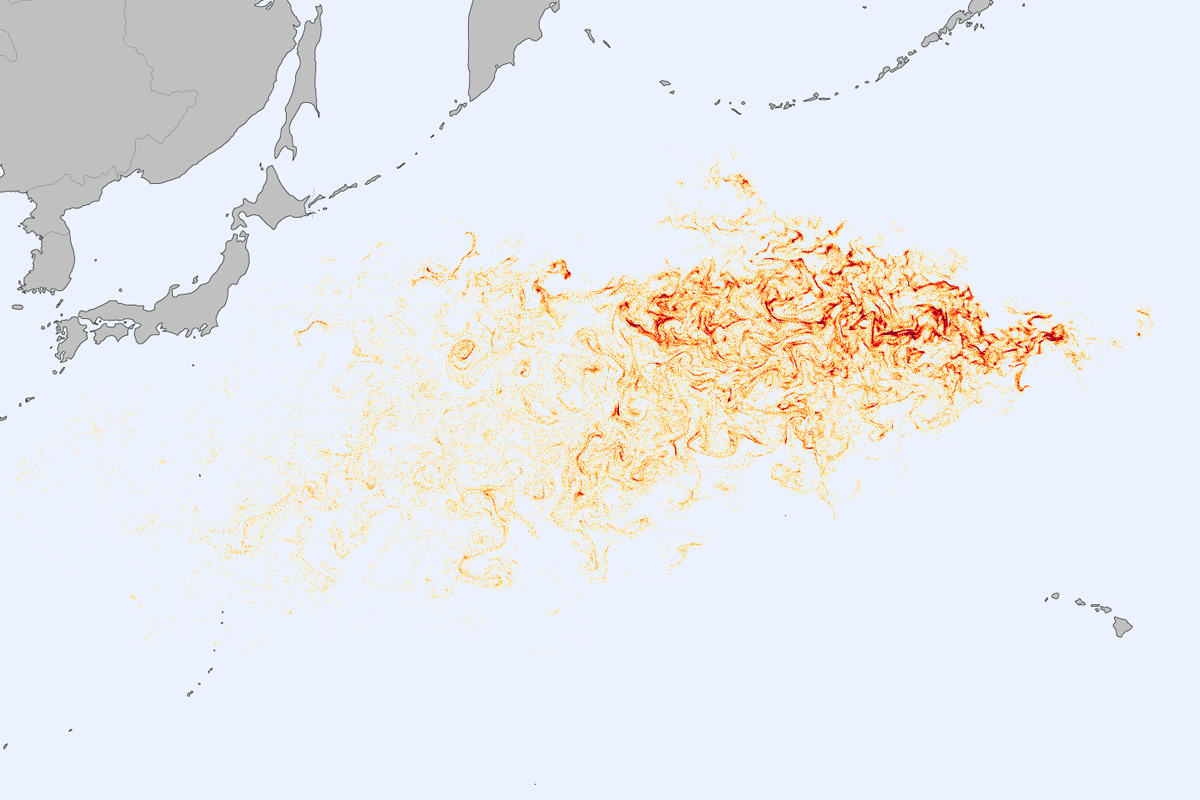 Debris field model of the Japanese tsunami