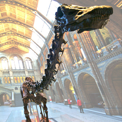 Dippy at NHM London