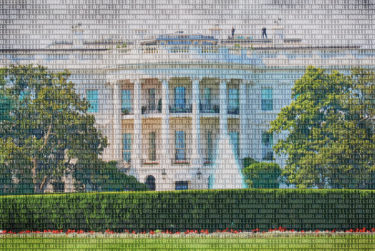 white house ai