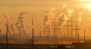 Carbon emissions: ‘corporates, citizens need to demand better regulatory framework’