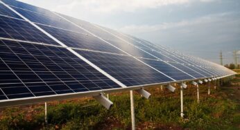 ‘Solar can be the cornerstone tech for our future clean economy’