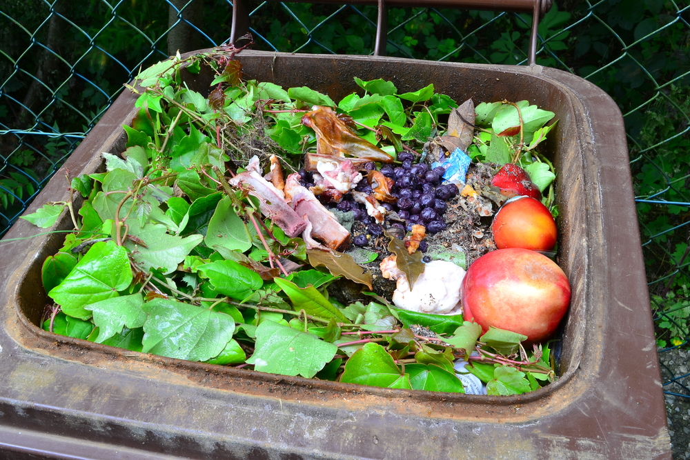 food waste