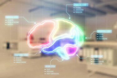 psychedelic brain processor